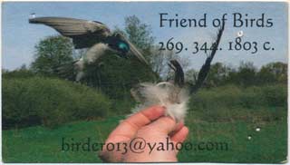 friends-of-birds.jpg
