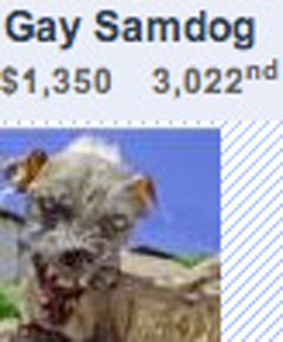 gay-samdog.jpg