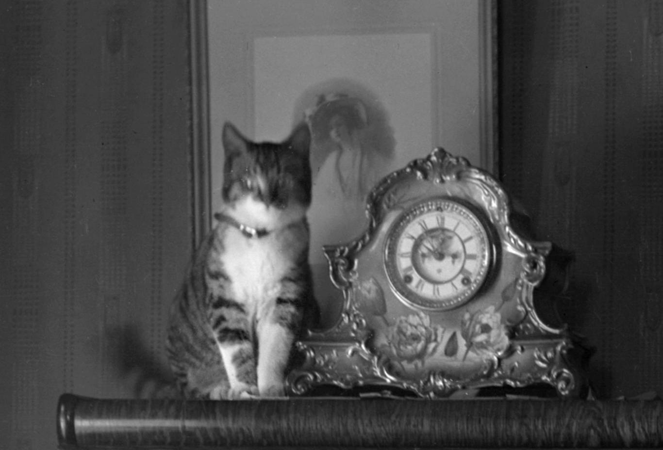 Cat and Clock - frame 1