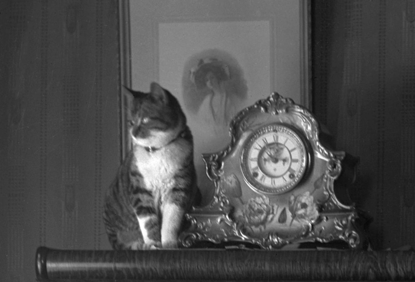 Cat and Clock - frame 2