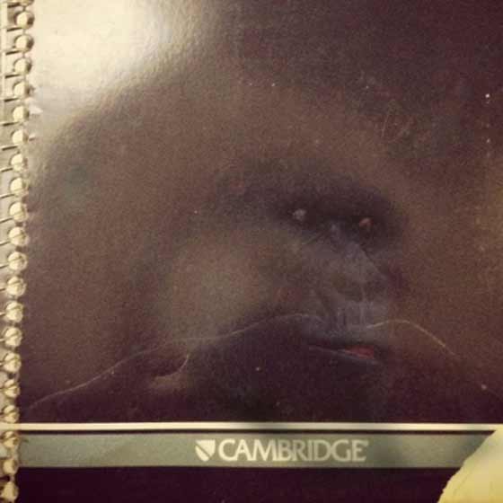 gorilla-notebook.jpg